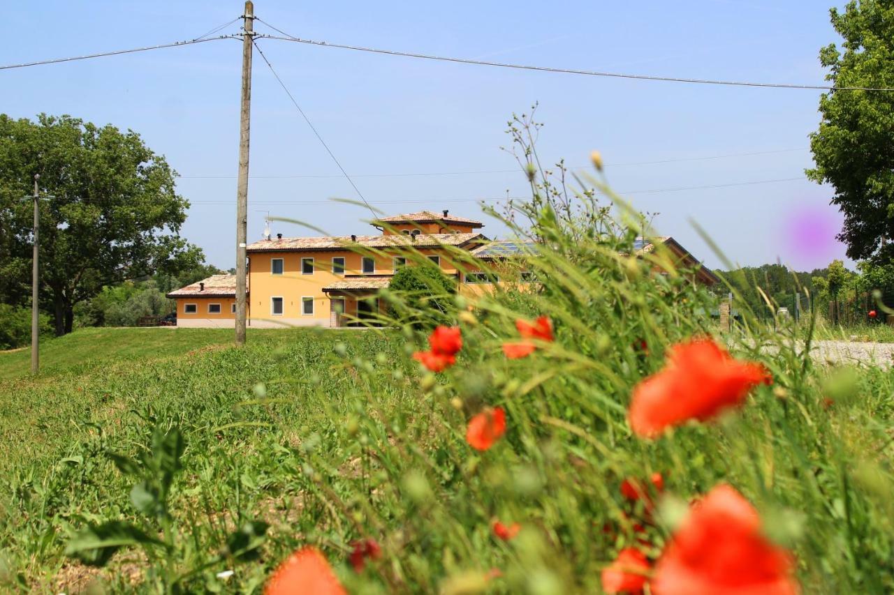 Agriturismo Bacchanalis Ziano Piacentino Extérieur photo